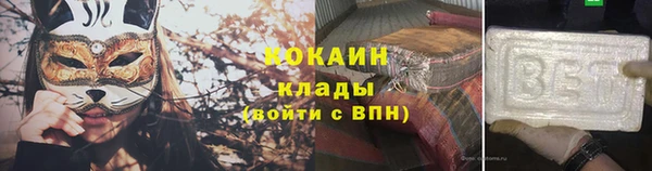 PSILOCYBIN Богородицк