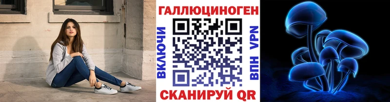 Псилоцибиновые грибы мухоморы где продают наркотики KRAKEN ссылки Кузнецк